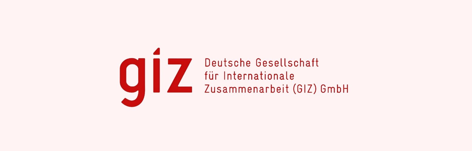 GIZ LOGO